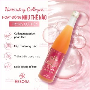 Combo 3 chai nước uống Collagen Enrich Hebora nội địa Nhật Bản chai 500ml