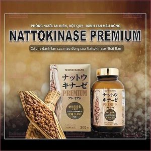 Viên uống hỗ trợ điều trị tai biến Nichiei Bussan Nattokinase Gold 10.000FU 60 viên (Nội địa Nhật)