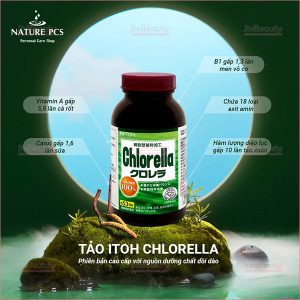 Viên uống tảo diệp lục Itoh Chlorella nội địa Nhật Bản hộp 1440 viên (Nhập khẩu)